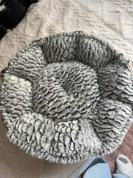 Kissan peti Лахти - изображение 3