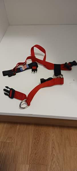 Koiran tarvikkeet 0,5-3€/kpl Oulu - valokuva 2