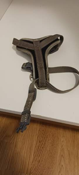 Koiran tarvikkeet 0,5-3€/kpl Oulu - valokuva 4