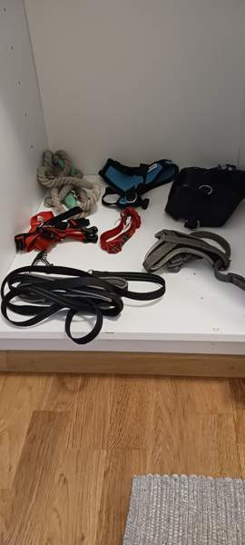 Koiran tarvikkeet 0,5-3€/kpl Oulu - valokuva 1