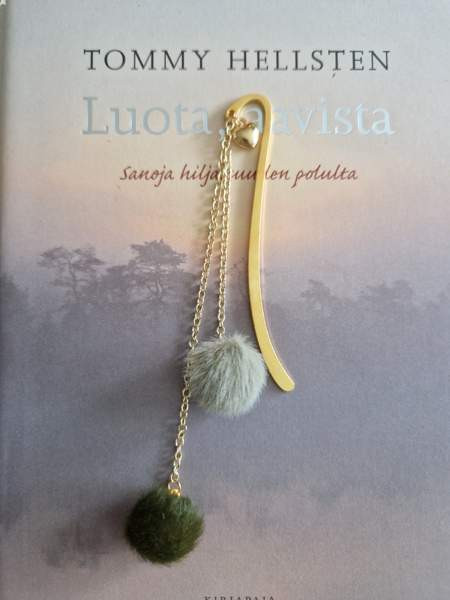 Kirjanmerkki Kajaani – foto 1