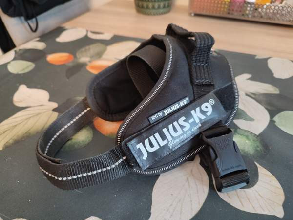 Julius-K9 valjaat koko mini Pirkkala - изображение 1