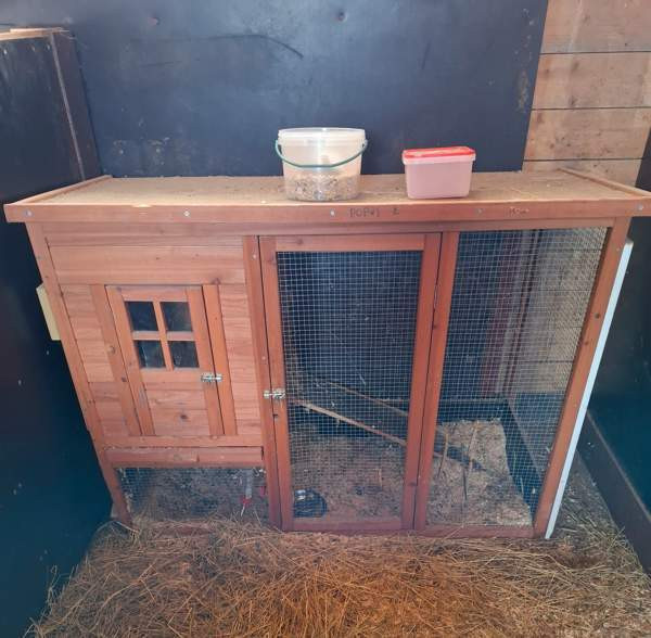 Kanin/ muu pieneläin koppi Hämeenkyrö – foto 1