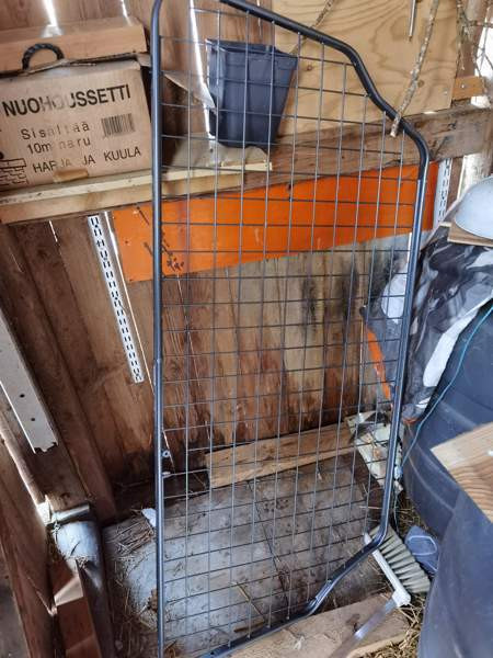 Koiraverkko Mikkeli - valokuva 1