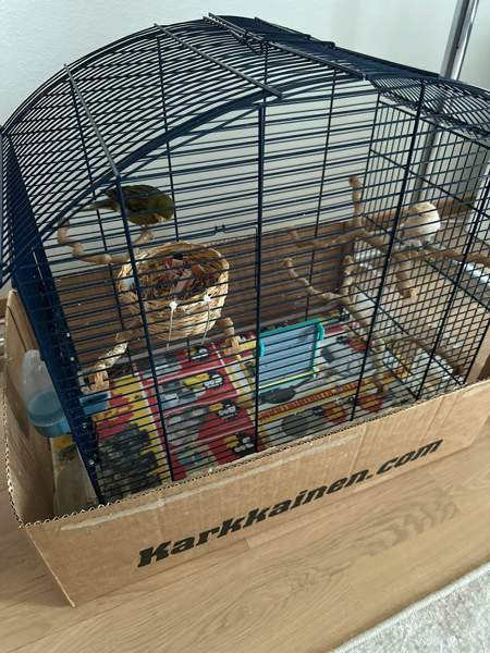 Isokokoinen häkki myynnissä! Vaasa – foto 1