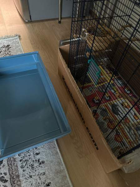 Isokokoinen häkki myynnissä! Vaasa – foto 2