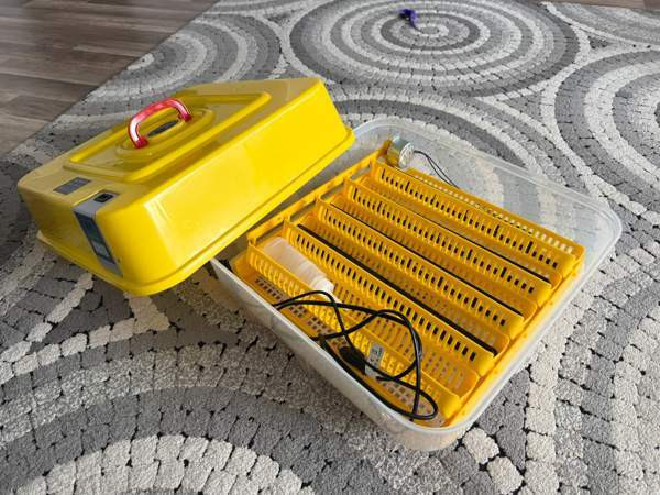 Munien inkubaattori Lahti - valokuva 4