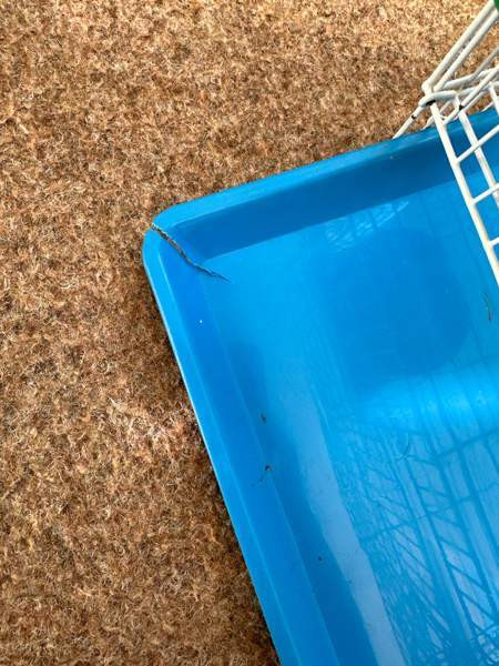 Pienikokoinen häkki myynnissä! Vaasa – foto 6