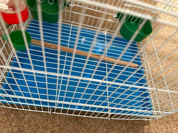 Pienikokoinen häkki myynnissä! Vaasa – foto 5