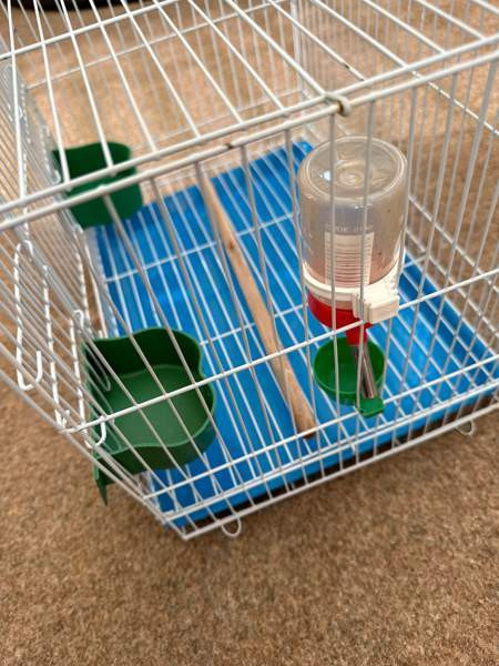 Pienikokoinen häkki myynnissä! Vaasa – foto 2