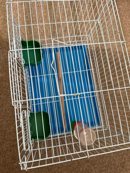 Pienikokoinen häkki myynnissä! Vaasa – foto 3