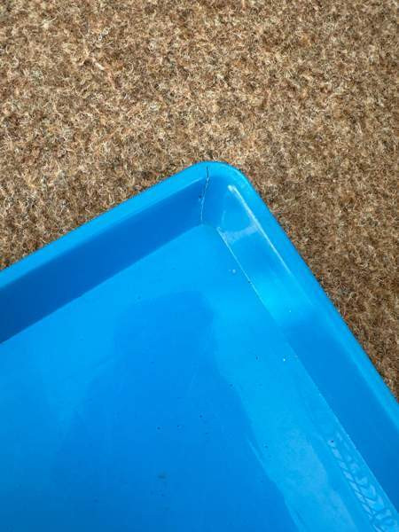 Pienikokoinen häkki myynnissä! Vaasa – foto 7