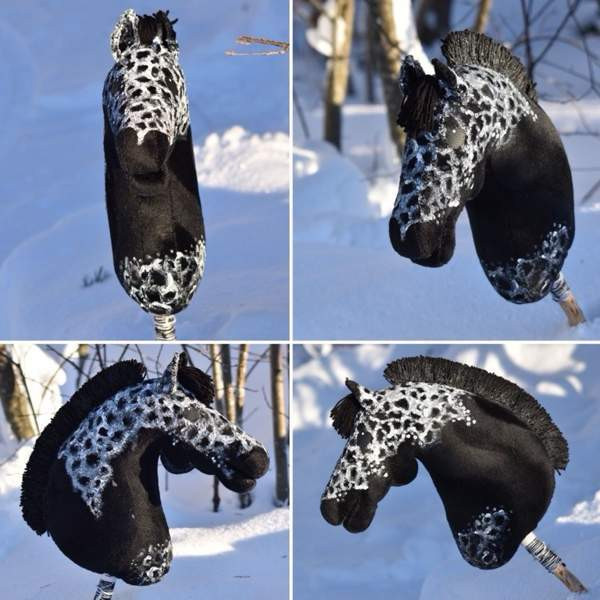 Kirjava keppari Savonlinna - valokuva 1