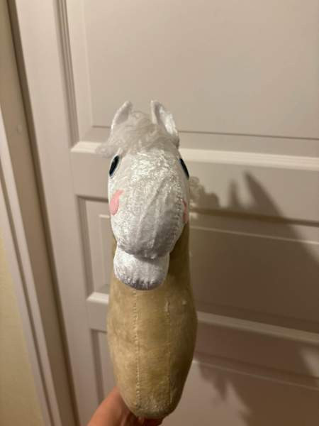 Valkopää keppari Savonlinna - photo 2