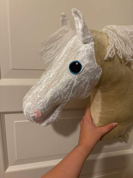 Valkopää keppari Savonlinna - photo 4