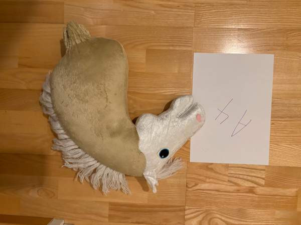 Valkopää keppari Savonlinna - photo 5