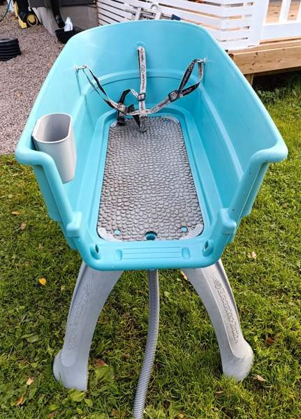 Pesuamme koirille Kaskinen - valokuva 1