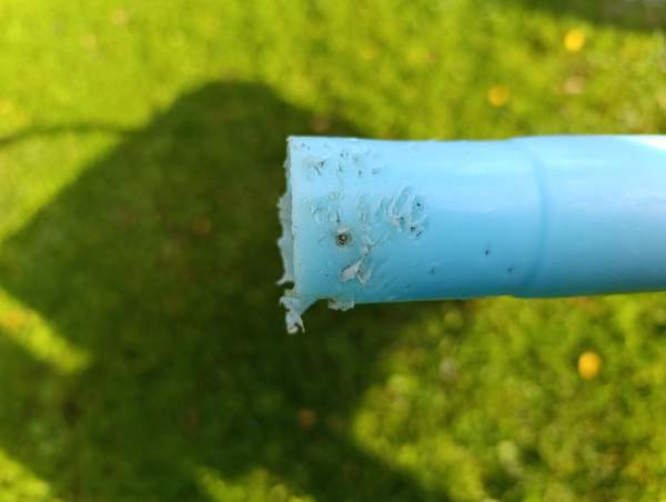 Pesuamme koirille Kaskinen - valokuva 3