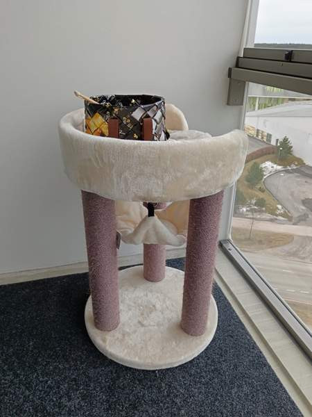 Raapimapuu Oulu - photo 1