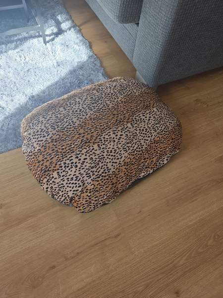 Koiran peti Lempäälä - valokuva 1