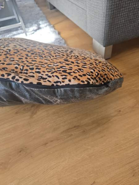 Koiran peti Lempäälä - valokuva 2