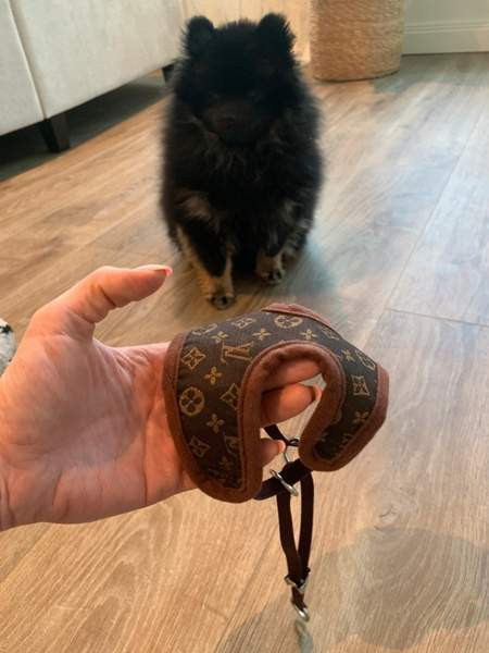 Koiran valjaat xs Vantaa - photo 3