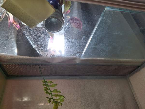 Liukuovi Terraario Tampere – foto 4