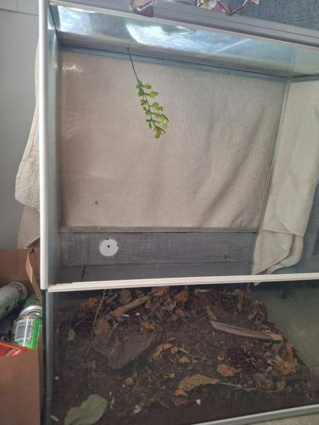 Liukuovi Terraario Tampere – foto 2