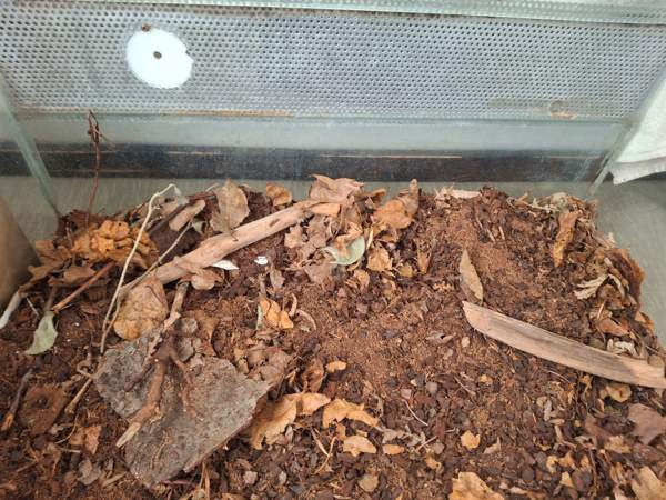 Liukuovi Terraario Tampere – foto 3