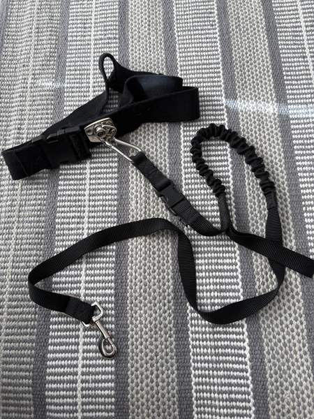 Trixie koiran talutusvyö Espoo - photo 1