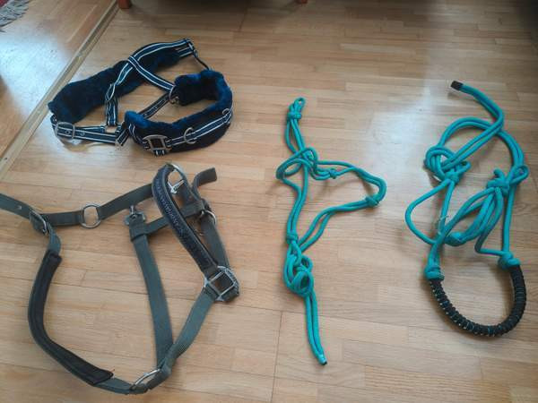 Riimuja, koko Cob Tampere - photo 1