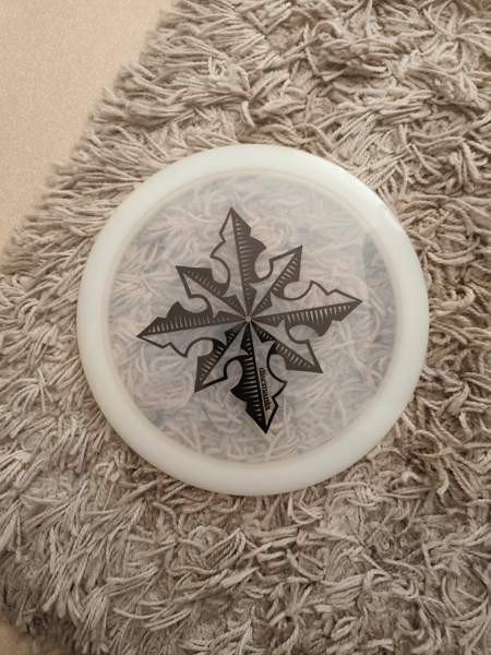 Frisbee kiekkoja Lappeenranta - valokuva 4