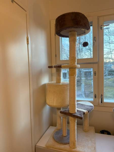 Raapimispuu Vantaa – foto 4