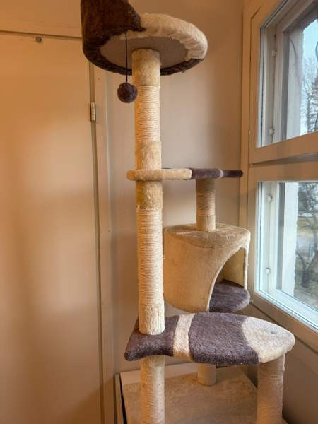 Raapimispuu Vantaa – foto 2