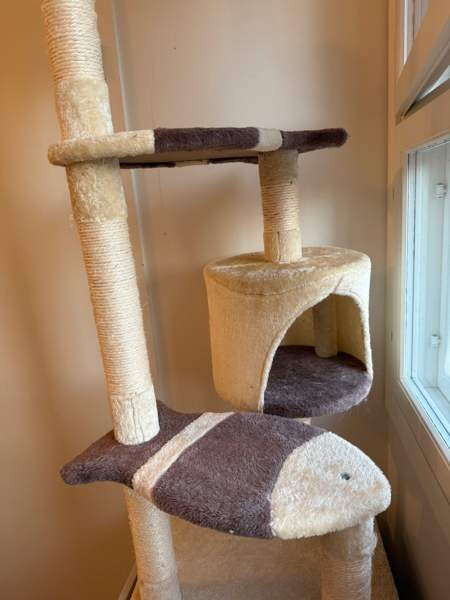 Raapimispuu Vantaa – foto 1