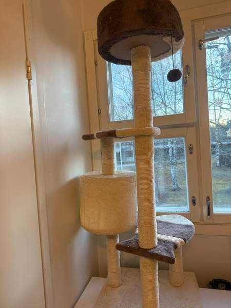 Raapimispuu Vantaa – foto 3