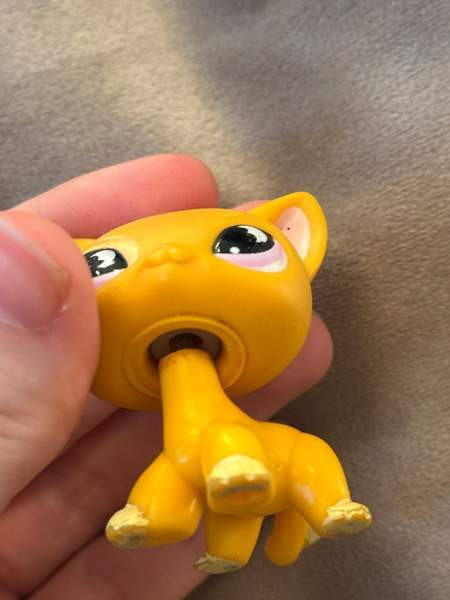 Myydään Lps kissa Lahti - valokuva 4