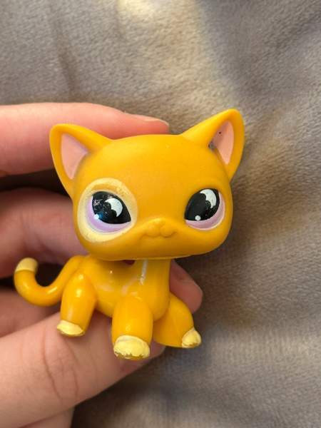 Myydään Lps kissa Lahti - valokuva 1