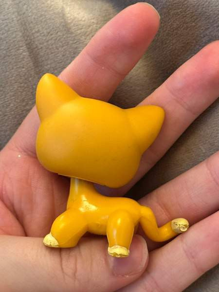 Myydään Lps kissa Lahti - valokuva 2