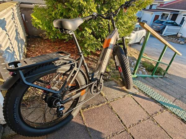 Lankeleisi MG 600 Plus Лохья - изображение 2