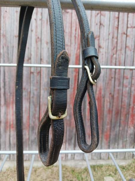 Ajo-ohjat Alavus - valokuva 2