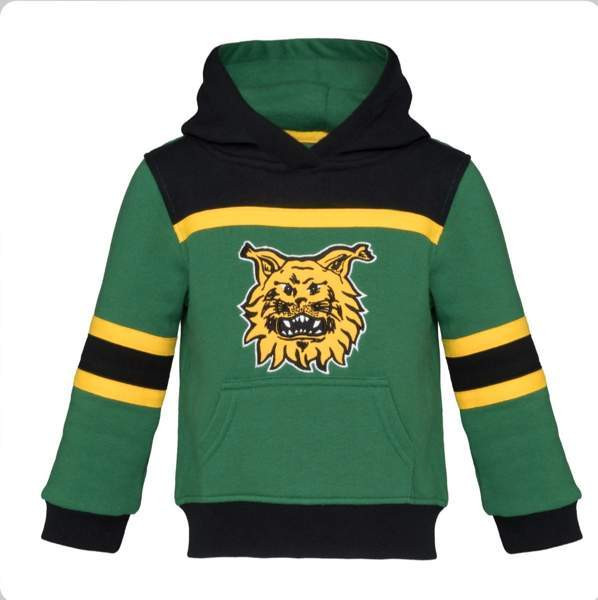 Ostetaan pelipaitahuppari Tampere - valokuva 1