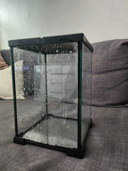 Pieni terraario Jaervenpaeae - photo 1