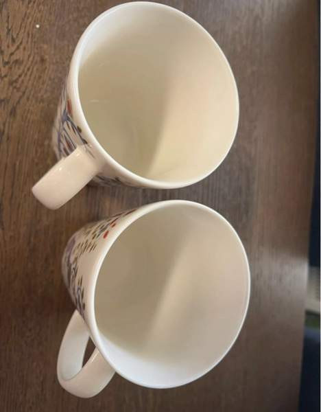 2 kpl Iittalan Taika mukia Haemeenlinna - photo 3