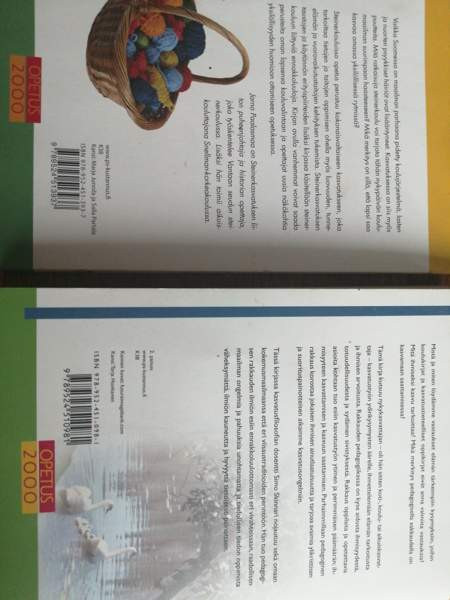 Steinerkasvatus ja pedagoginen rakkaus Porvoo – foto 2