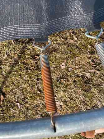 Trampoliini Alavus