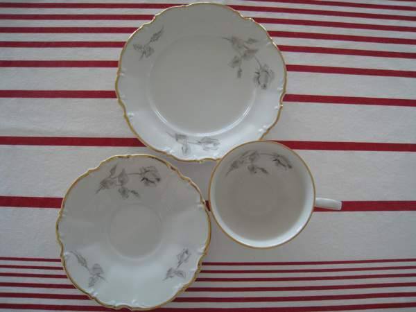 Kahvikuppi /teekuppi  Sylvia Hutschenreuther 1 kpl Helsinki - изображение 6