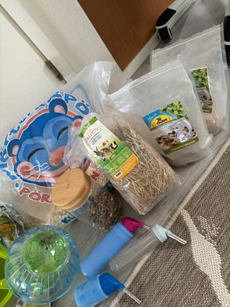 Hamsterin häkki ja tarvikkeita Kempele - изображение 5