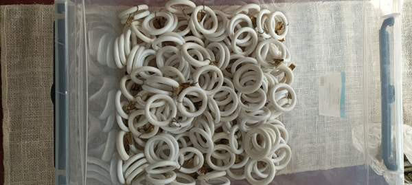 Valkoisia verhonrenkaita Mäntsälä - valokuva 2