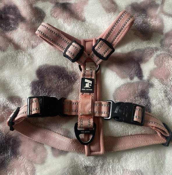 Pehmustetut Feel Active vaaleanpunaiset valjaat pikkukoiralle Lempäälä - valokuva 1